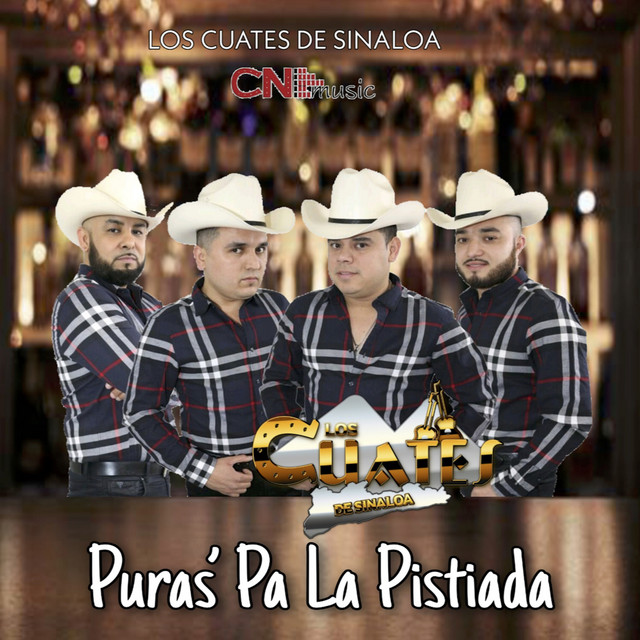 Puras Pa La Pistiada album cover