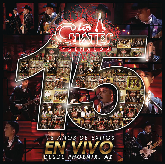 15 Años de Exitos en Vivo Desde Phoenix AZ album cover