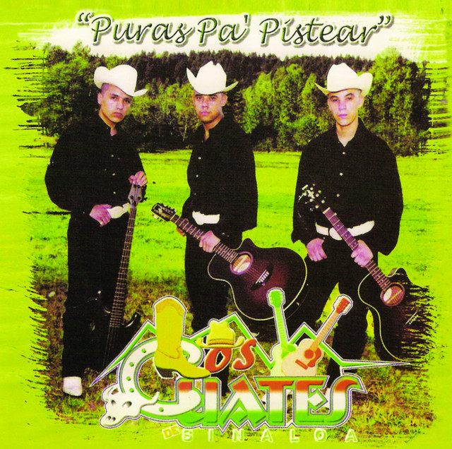 Puras Pa' Pistear album cover