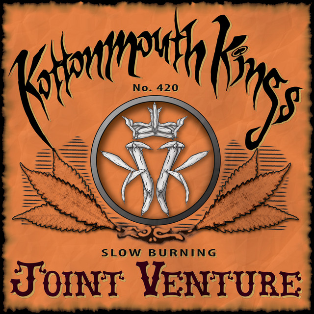 Joint Venture album cover