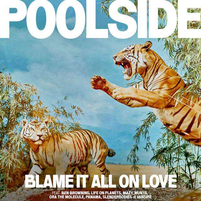 Blame It All On Love album cover