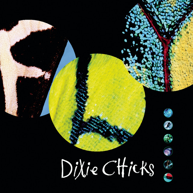 Fly album cover