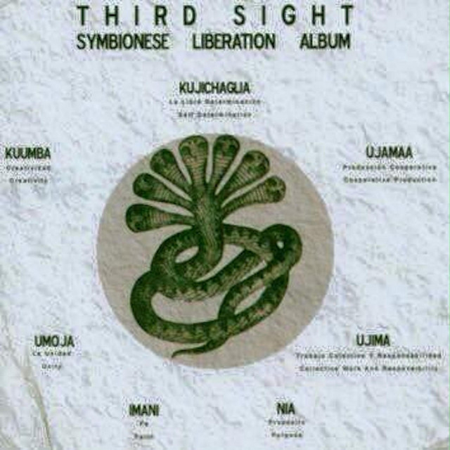 The Symbionese Liberation Album album cover
