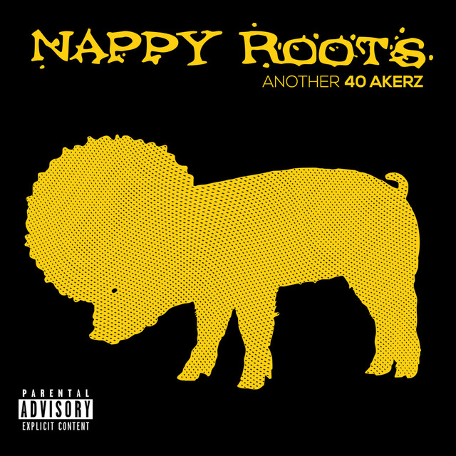 Another 40 Akerz album cover