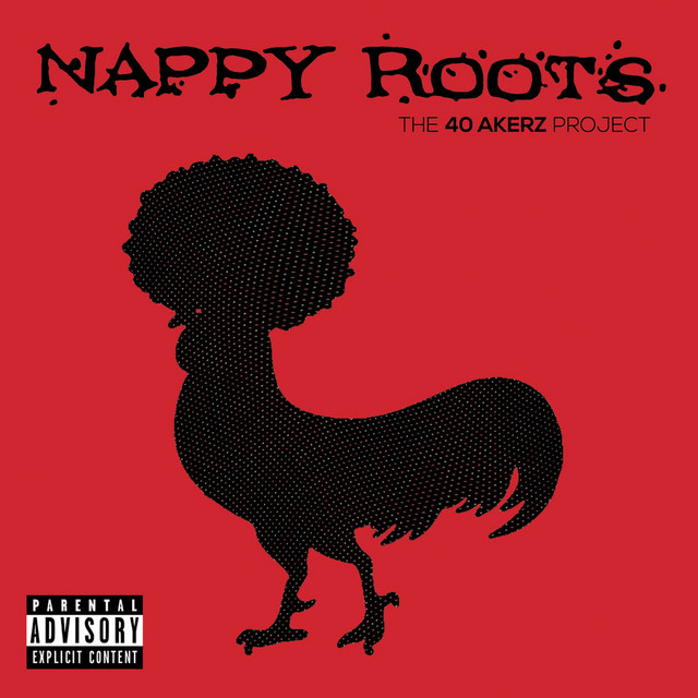 The 40 Akerz Project album cover