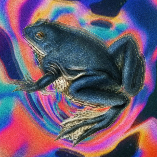 Somewhere Nowhere album cover