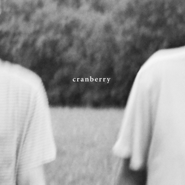 Cranberry album cover