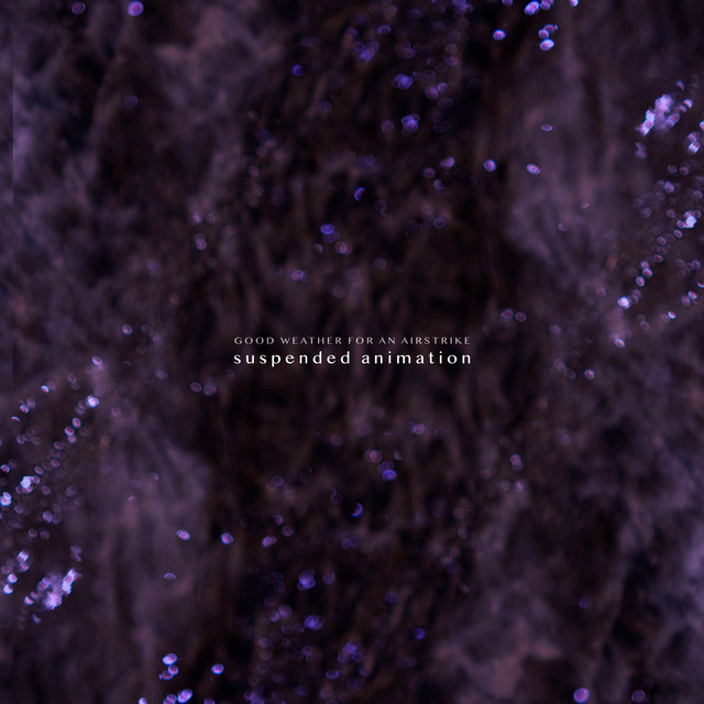 suspended animation album cover