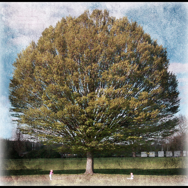 Torpor album cover