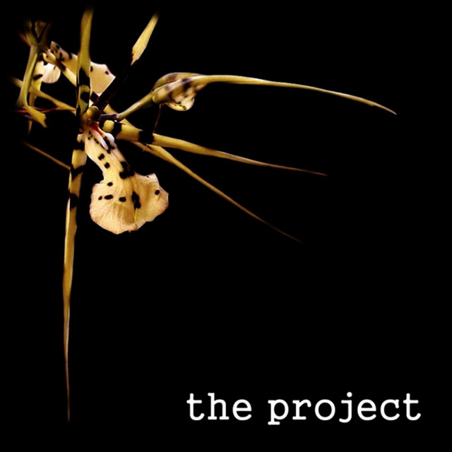 The Project album cover