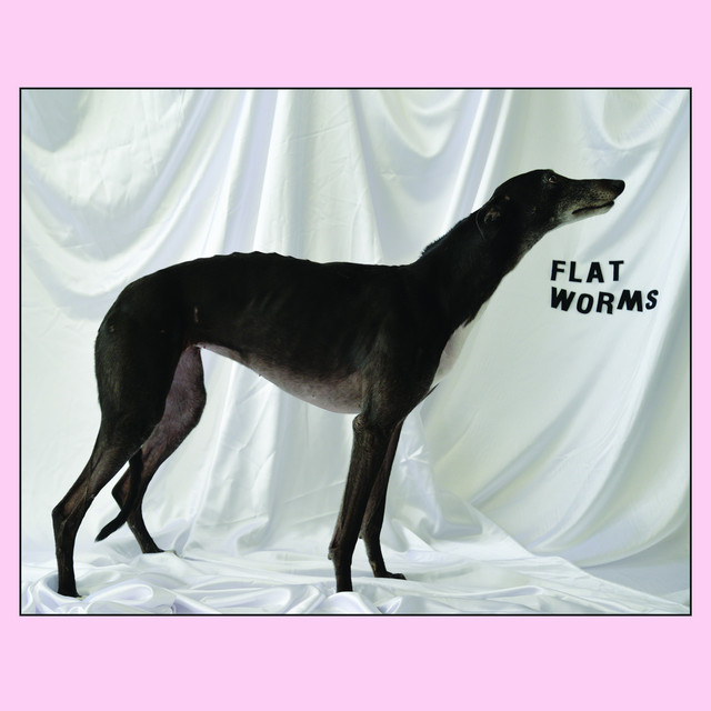Flat Worms album cover