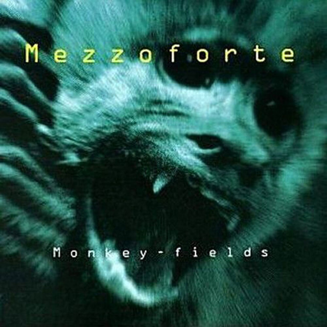 Monkey Fields album cover