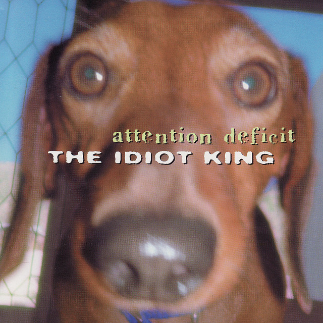Idiot King album cover