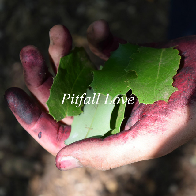 Pitfall Love album cover
