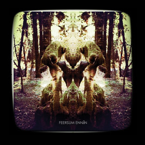 Feersum Ennjin album cover
