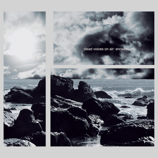 :snowbeasts: dead voices on air: album cover