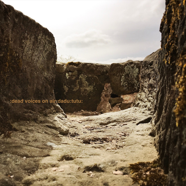 dadu: tutu: album cover