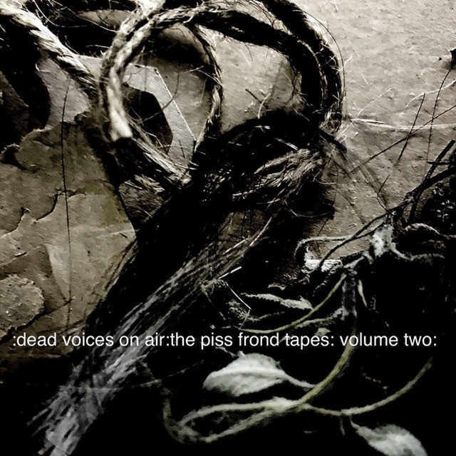 The Piss Frond Tapes Volume Two album cover