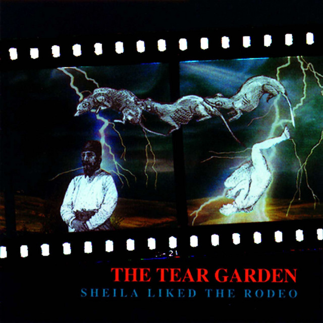 Sheila Liked The Rodeo album cover