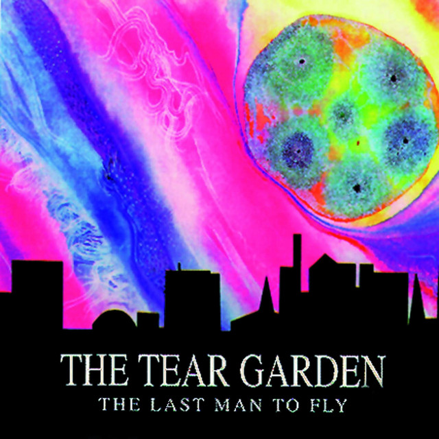 The Last Man To Fly album cover