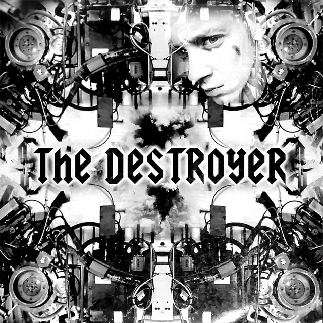 The Destroyer album cover