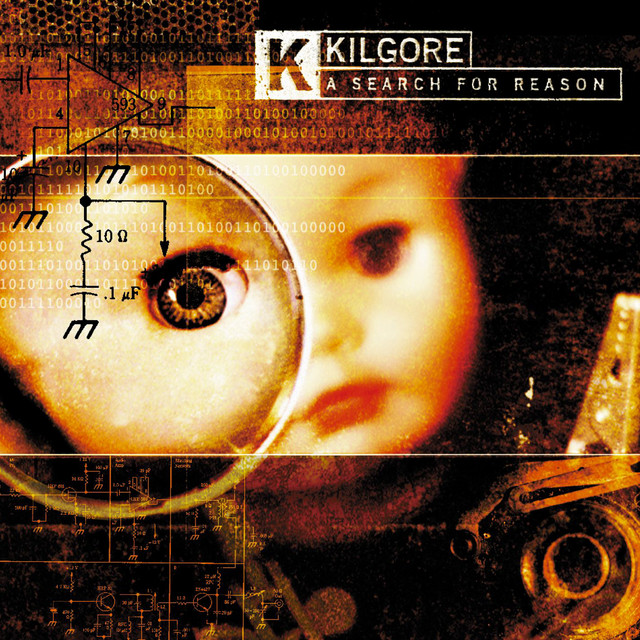 A Search For Reason album cover