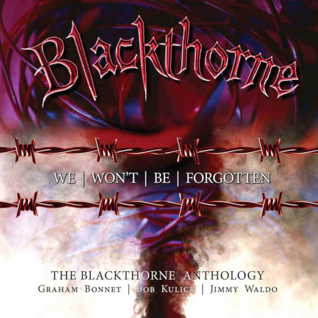 We Won't Be Forgotten: The Blackthorne Anthology album cover