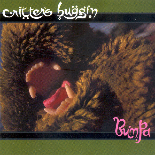 Bumpa album cover
