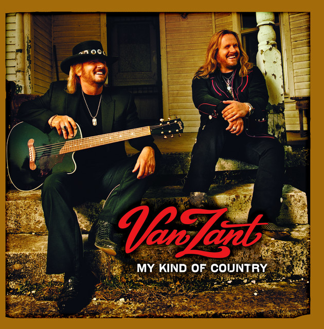 My Kind Of Country album cover
