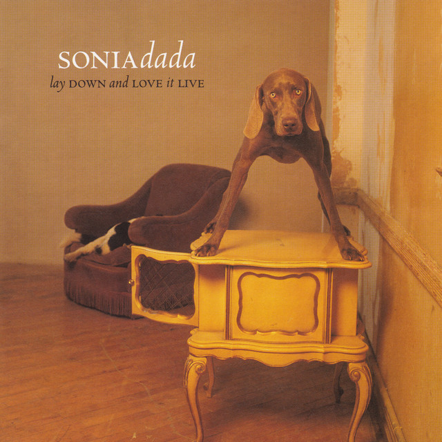 Lay Down and Love It Live album cover