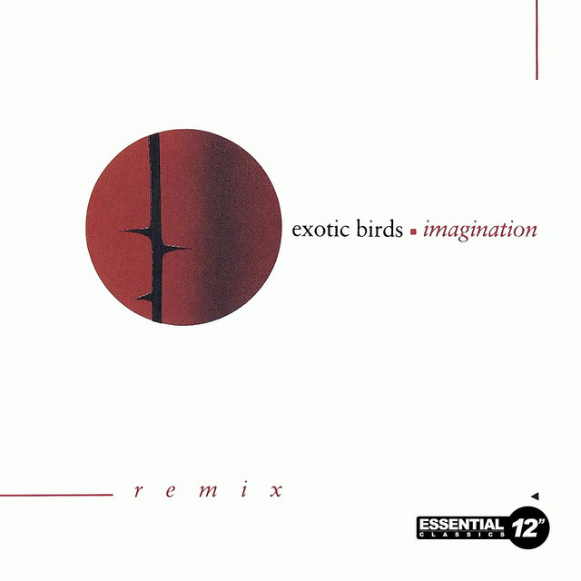 Imagination (Remix) album cover