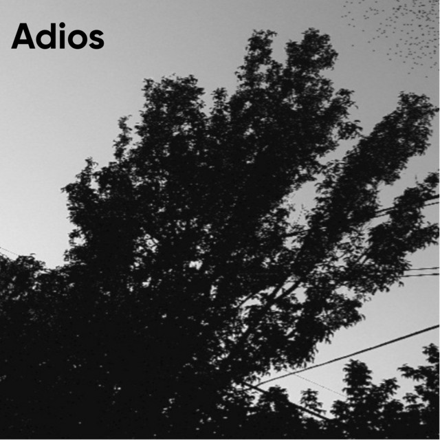 Adios album cover