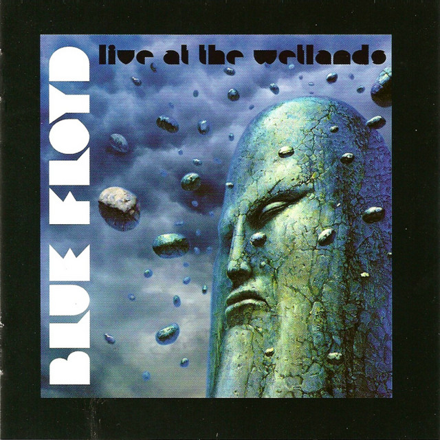 Live At The Wetlands album cover