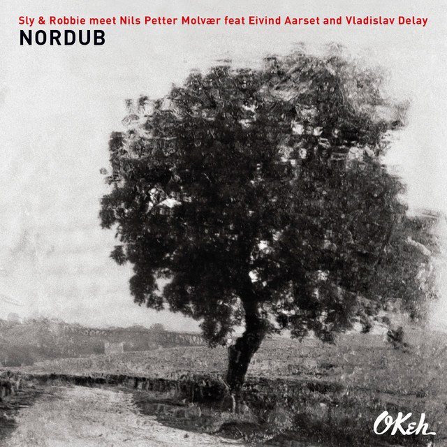 Nordub (feat. Eivind Aarset & Vladislav Delay) album cover