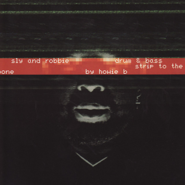 Drum & Bass Strip To The Bone By Howie B album cover