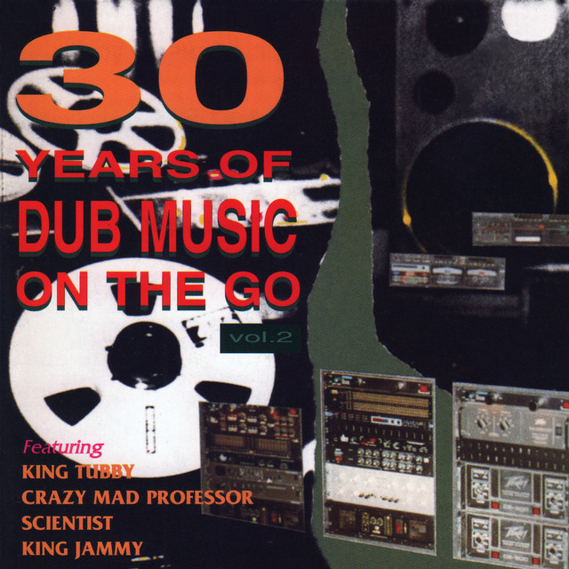 30 Years of Dub Music on the Go, Vol. 2 album cover