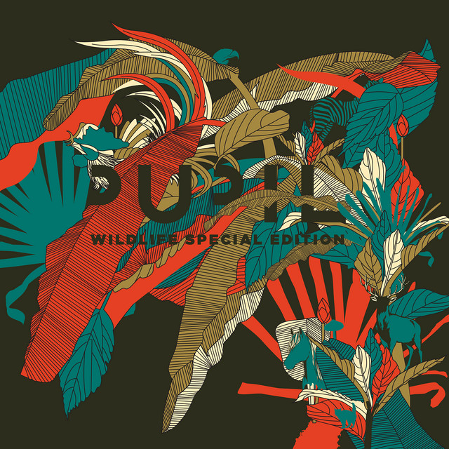 Wildlife Special Edition album cover