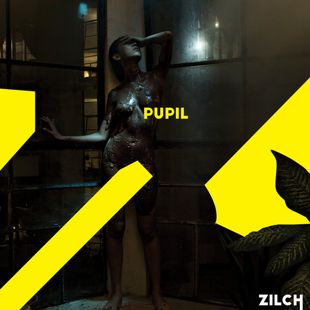 Zilch album cover