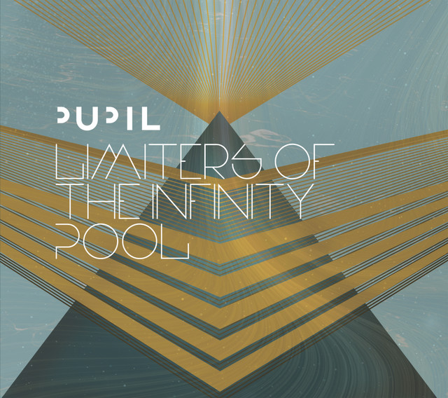 Limiters Of The Infinity Pool album cover