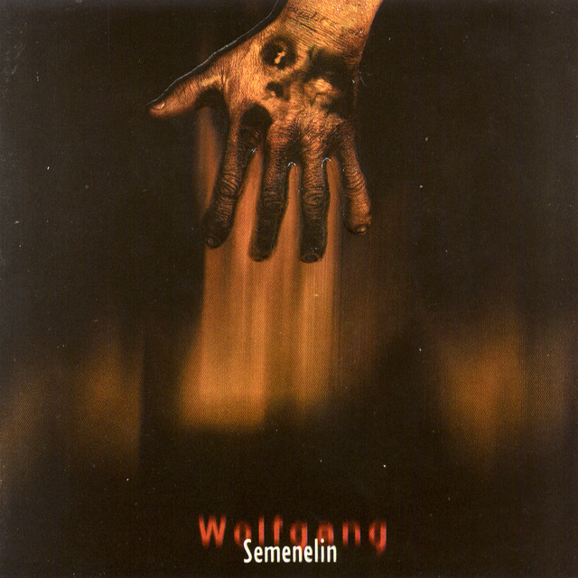 Semenelin-International Version album cover
