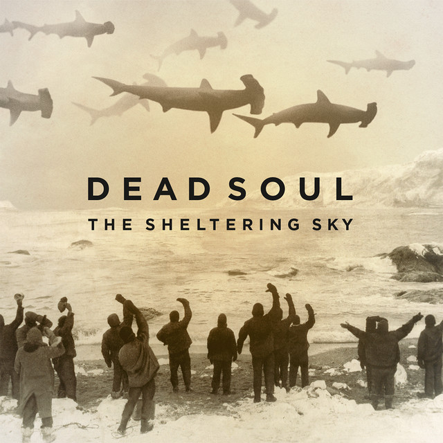The Sheltering Sky album cover