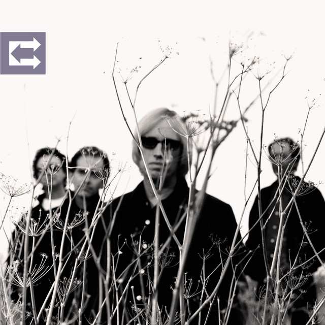 Boss OC-2 Octaver as heard on Echo by Tom Petty and the Heartbreakers (1999)