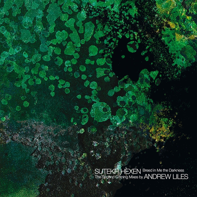 Breed in Me the Darkness album cover