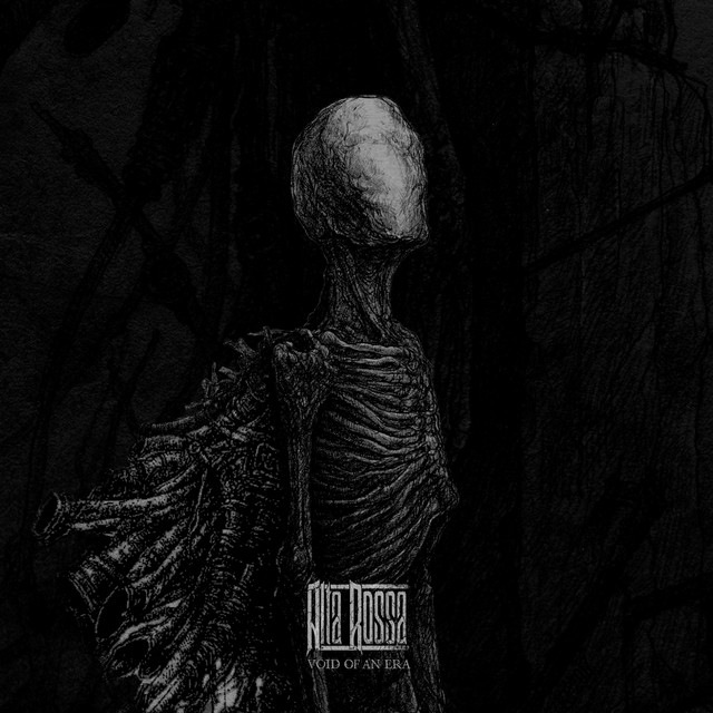 Void of an Era album cover