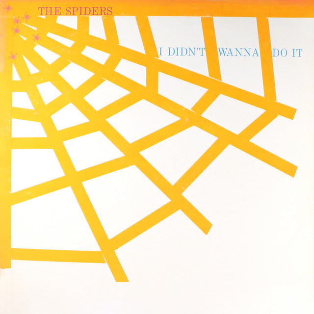 I Didn't Wanna Do It album cover