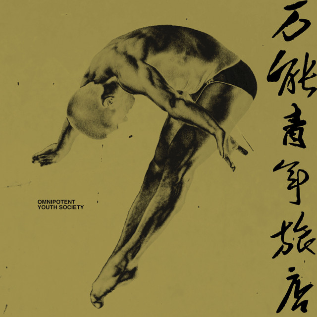 万能青年旅店 album cover