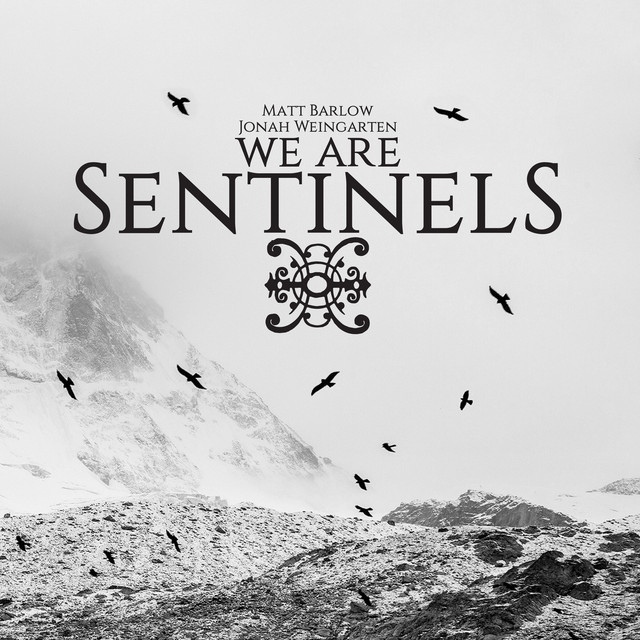 We Are Sentinels album cover