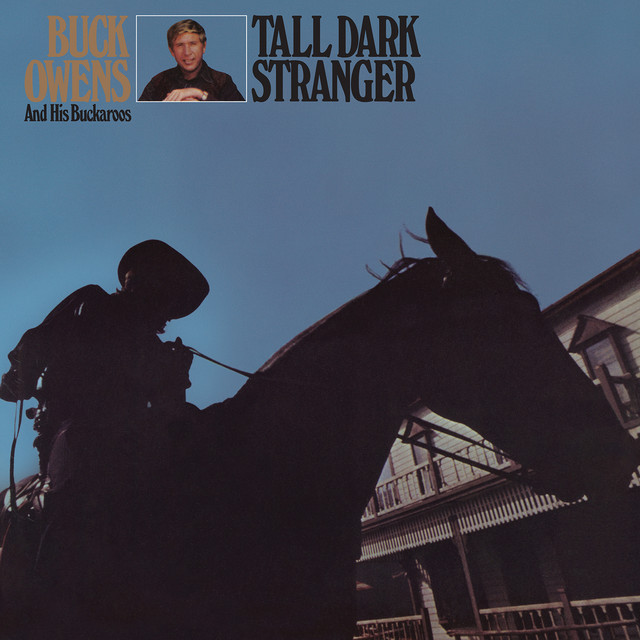 Tall Dark Stranger album cover