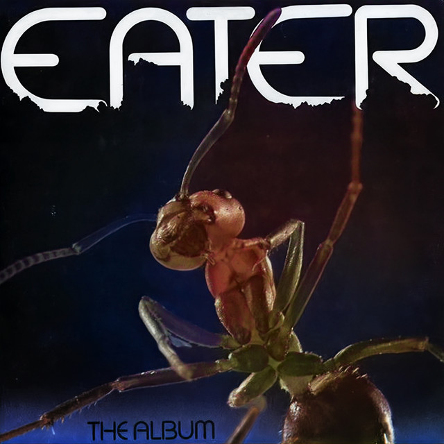 The Album (2024 Deluxe Edition) album cover