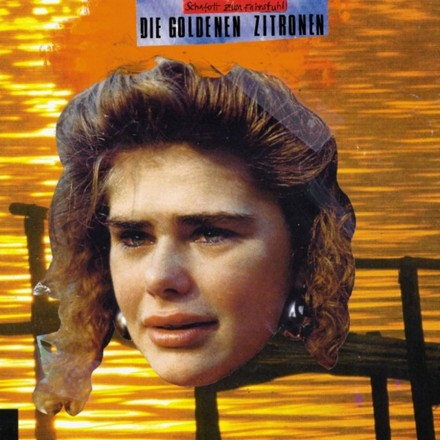 Schafott zum Fahrstuhl album cover
